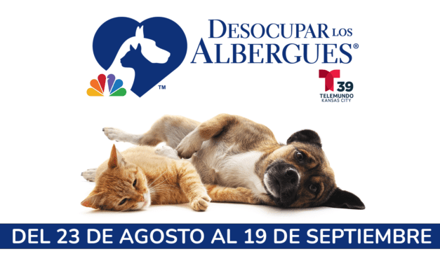 TELEMUNDO KANSAS CITY TE INVITA A DESOCUPAR LOS ALBERGUES