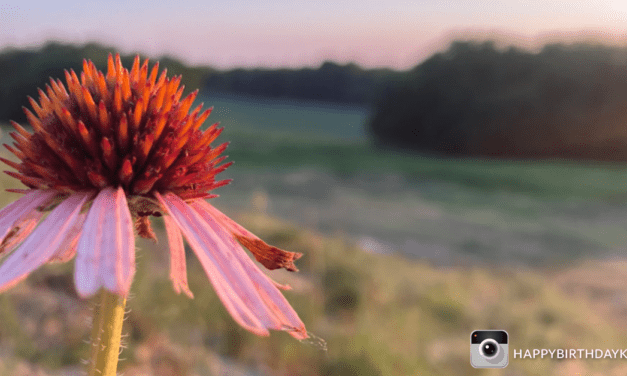 Estudiantes de Kansas son invitados a participar en concurso fotográfico