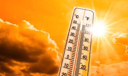 Temperaturas altas y humedad azotan a Kansas City