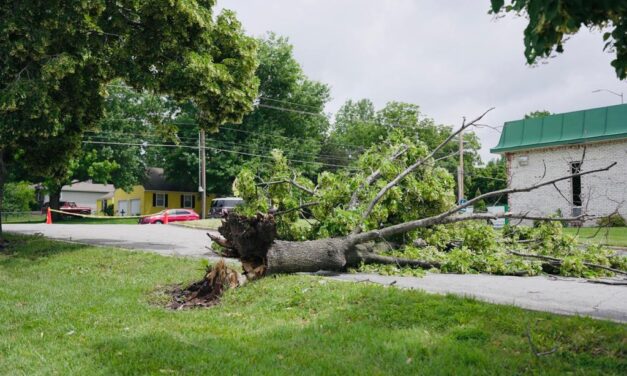 Esfuerzos de recuperación tras tiempo severo y tornado en el área de Kansas City