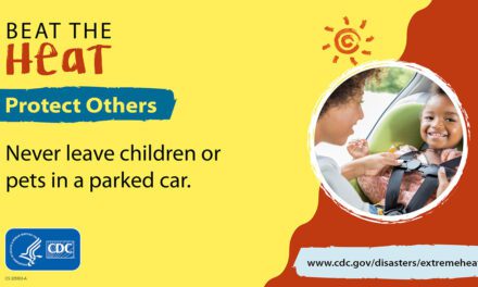 Dejar niños o mascotas dentro de un auto estacionado es muy peligroso
