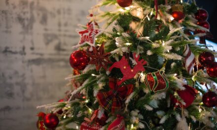 ¿Cuándo quitar el árbol de Navidad?