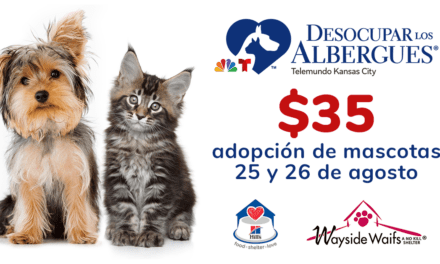 Costo reducido en evento de adopción de mascotas en Wayside Waifs