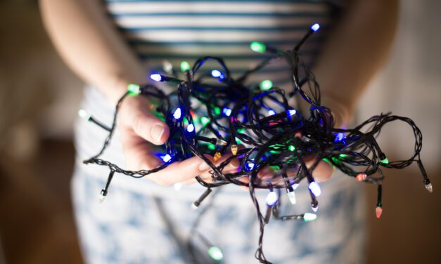 Haz una diferencia reciclando tus luces navideñas en Kansas City Zoo & Aquarium