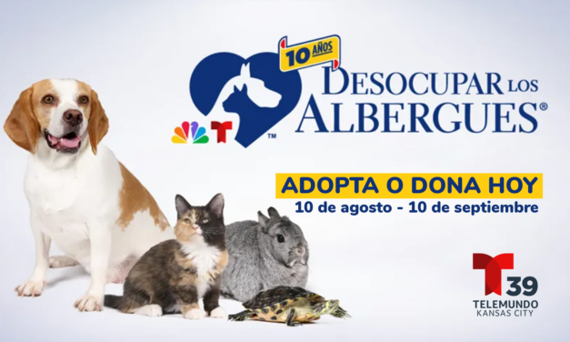 Telemundo Kansas City te invita a Desocupar los Albergues 2024