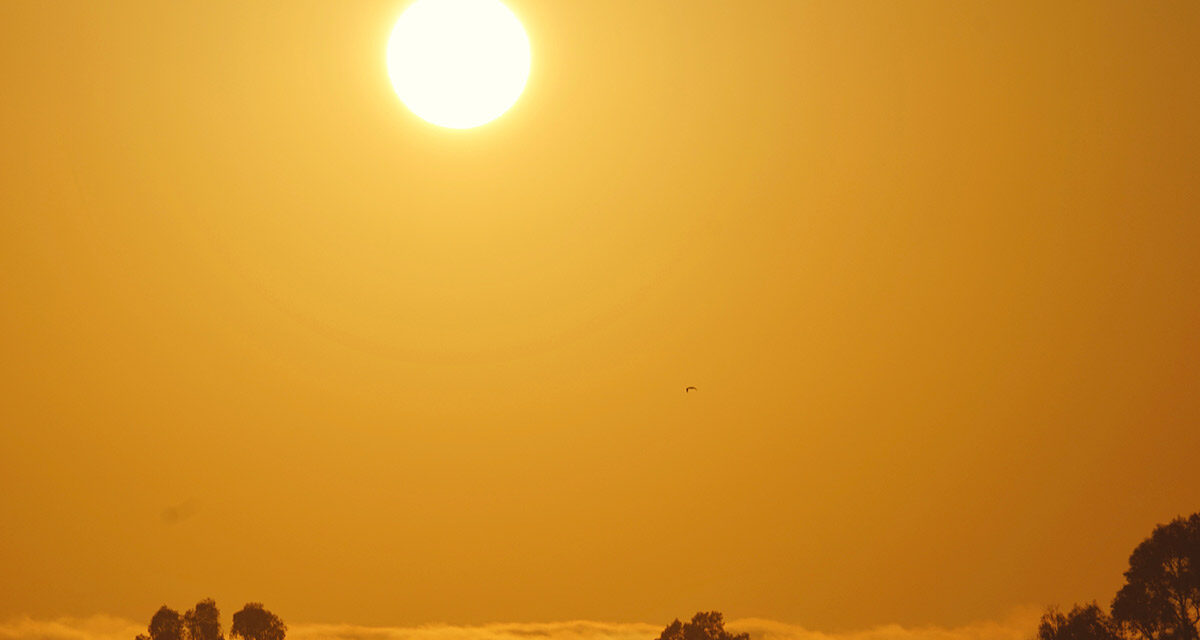 Ola de Calor Extremo Afecta el Centro de Estados Unidos