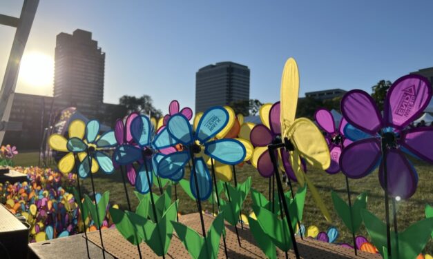 Miles participan en la caminata para la lucha contra el Alzheimer en Kansas City